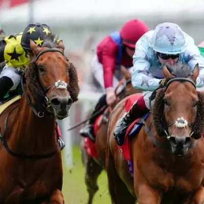Chester Races Halted After Jockeys Report Slipping on Turf