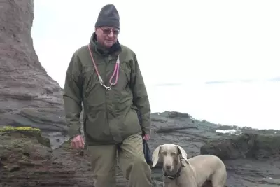 Coastguard Crew Awarded for Heroic Dog Rescue at Seacliff Beach