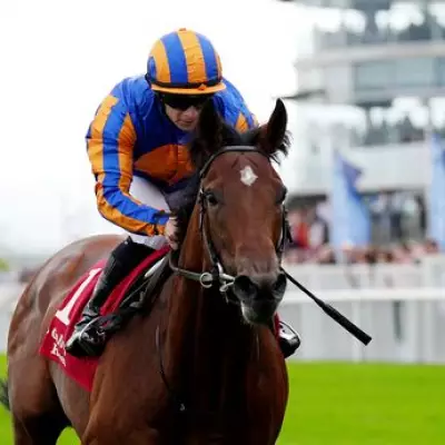 Constitution River and Rahiebb Headline Chester for ITV4 Racing