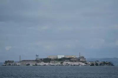 Coyote Swam 2 Miles to Alcatraz, Doubling Biologists' Expectations