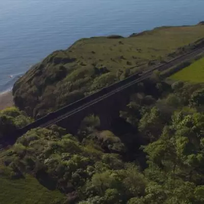 Criminally Underrated Nature Reserve Walk with Alpacas and Caves