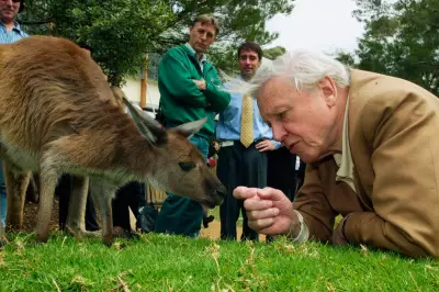 David Attenborough Turns 100: Celebrating a Life of Wildlife Wonders