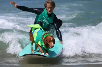 Dog Longevity Tips: Experts on Diet, Exercise, and Checkups