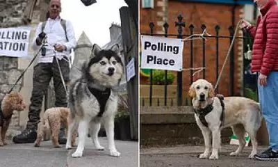 Dogs Steal the Show at UK Local Elections with #DogsAtPollingStations