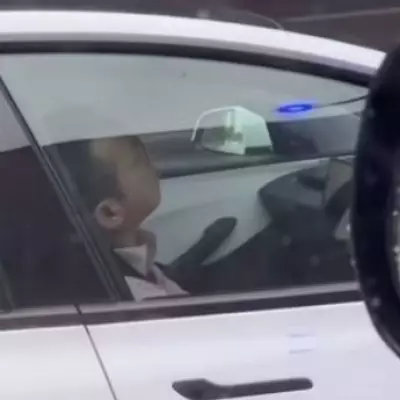 Driver Caught Sleeping at Wheel of Self-Driving Tesla on Motorway