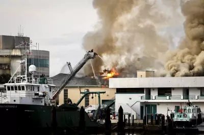 Fire Erupts at USF Lab Building in St. Petersburg, No Injuries Reported