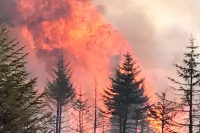 Firefighters Battle Wildfire in Pentland Hills Near Edinburgh