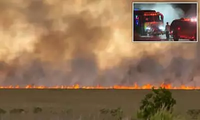 Florida Everglades Wildfire Nears 5,000 Acres, Forces Road Closures