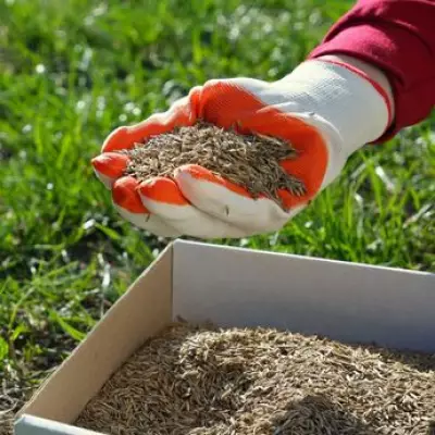 Gardening Expert's Simple Method to Fix Bare Lawn Patches Works Every Time