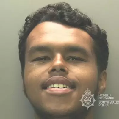 Hammer-wielding man attacks stranger in Cardiff pub, sentenced to 18 months