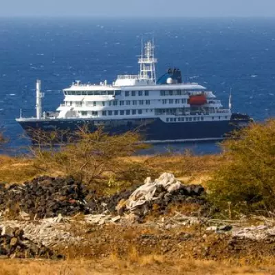 Hantavirus Outbreak on MV Hondius Cruise Ship Cases Rise to Seven