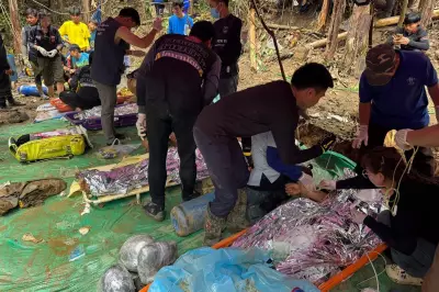 Heavy Rain Hinders Rescue of Two Missing Men in Laos Cave