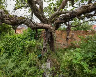 Historic Bramley Apple Tree Cottage Sold in Nottinghamshire