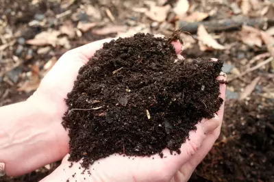 How to Mulch Garden Beds Correctly Without Harming Plants