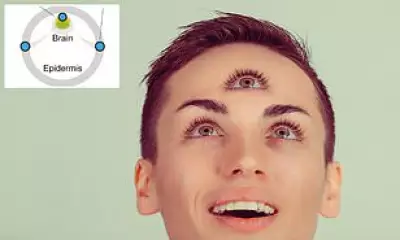 Human 'Third Eye' Found in Skull Still Regulates Sleep
