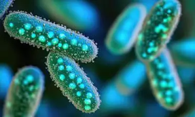 Immune Cell Training Offers New Hope Against Drug-Resistant Infections