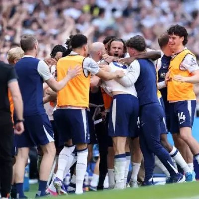 James Maddison's Bench Support for Tottenham Against Everton Praised