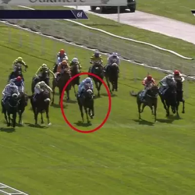 Jockey Diego Lima Banned 24 Days for Hitting Horse Over Head with Whip