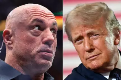 Joe Rogan Mocks Trump's DOJ for Blocking IRS Audits: 'That Is So Crazy'