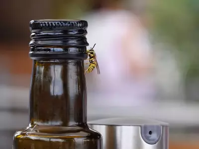 Keep Wasps Away with 2-Ingredient Homemade Solution They Hate