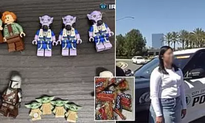 Lego Fraud Scandal Widens in California as Second Suspect Arrested in Pasta Switcheroo Case