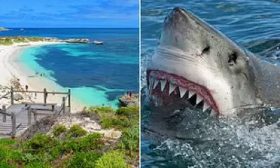 Man Critically Injured in Shark Attack at Rottnest Island Near Perth