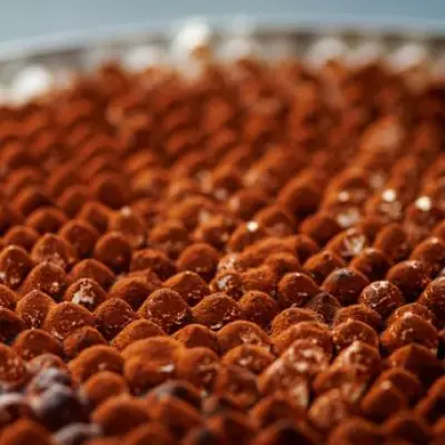 Manchester Pizzeria's Wheelbarrow Tiramisu Challenge: Eat It in 30 Mins for Free