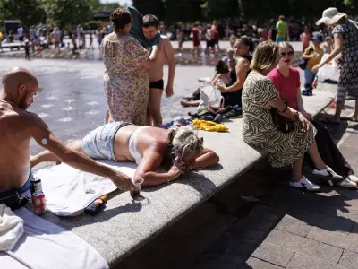 Met Office: Seven UK Counties Set for 24°C+ Warm Spell in Days