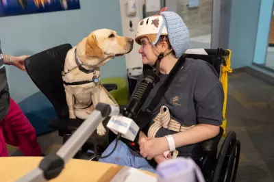 More US Children's Hospitals Using Facility Dogs to Help Kids Heal