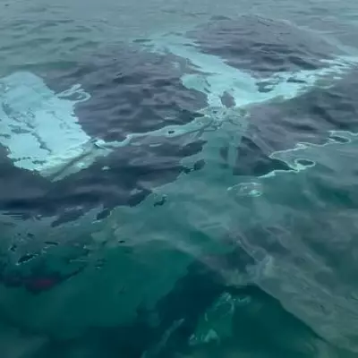 Mystery car submerged by tide rowed over by paddleboarder in Wales