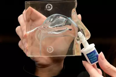 Nasal Spray Developed as Emergency Rescue Tool After Stroke