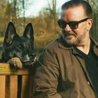 Netflix Reveals Release Date for Ricky Gervais' Animated Series Alley Cats