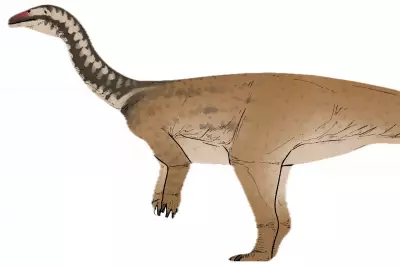 New Dinosaur Species Xiangyunloong Fengming Discovered in China