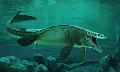 Newly Discovered Tylosaurus Rex: The T-Rex of Ancient Seas