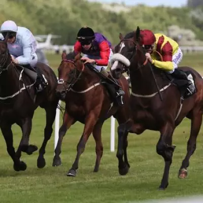 Newsboy's Horse Racing Tips: Spirit Catcher Nap at Musselburgh on Thursday
