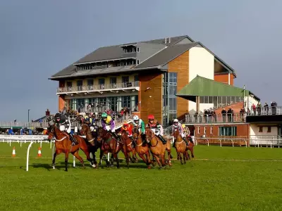 Newsboy's Nap Auspicious Set to Shine at Carlisle on Friday