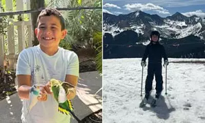 Nine-Year-Old Boy Dies After Tree Falls on School Playground