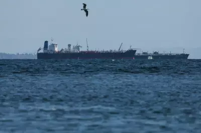 Oil Prices Drop as Trump Reports Progress in Iran Peace Talks
