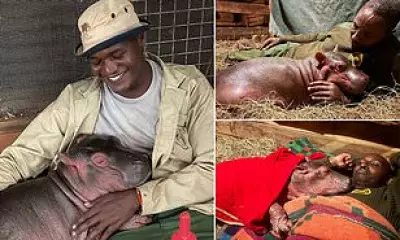 Orphaned Baby Hippo Bumpy Rescued and Cared for at Kenyan Sanctuary