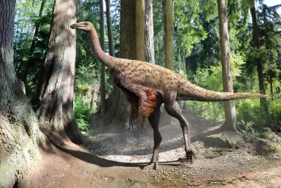 Ostrich-Like Dinosaur Tail Fossil Found Off Canada Coast