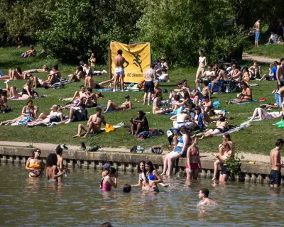 Outrage as Swimmers Disturb Nesting Birds on Hampstead Heath
