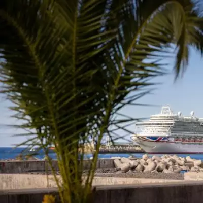 Perfect Canary Islands Cruise Tips: How I Made It So Good