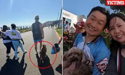 Pit Bull in 'Adopt Me' Vest Kills Dog at Washington Marathon