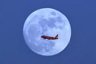 Rare Blue Micromoon to Appear This Weekend, Last Until 2053