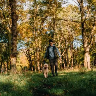 RSPCA Warns Dog Owners About Ticks Ahead of Bank Holiday Heatwave