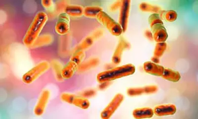 Scientists Uncover How Gut Bacteria Fuels Colon Cancer, Paving Way for New Treatments
