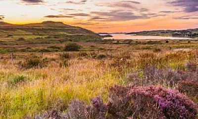 Scottish Highlands Wilderness Threatened by Net Zero Energy Projects