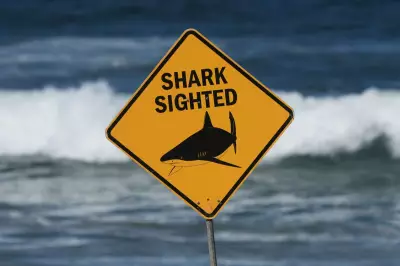 Second Fatal Shark Attack This Month at Australia's Great Barrier Reef
