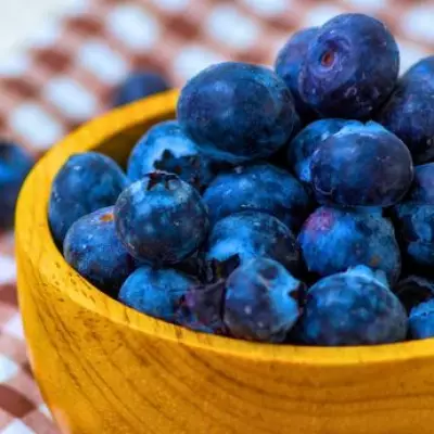 Simple Kitchen Hack Keeps Blueberries Fresh for Weeks Longer