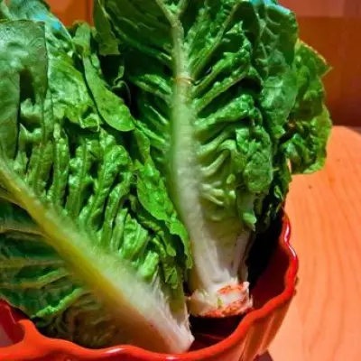Simple Lettuce Storage Hack Keeps It Fresh for Two Weeks Longer